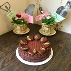 messagescakes.alts.birthday